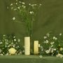 Vases - Cochlea della Metamorfosi n°2, yellow glass and stone vase for flowers - COKI
