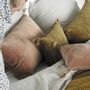 Cushions - AURORE velvet cushion - Bronze and gold - BLANC D'IVOIRE