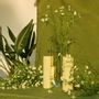 Vases - Cochlea dello Sviluppo - yellow glass and stone vase for flowers - COKI