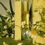 Vases - Cochlea dello Sviluppo - vase jaune en verre et pierre pour fleu - COKI