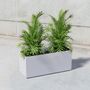 Vases - Box, planter - SIT URBAN DESIGN