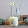Candles - Candle with Vanilla Scent - TL CANDLES