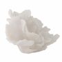 Decorative objects - Rosenia Deco, White, Polyresin - CREATIVE COLLECTION