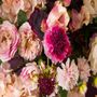 Floral decoration - SCABIEUSE MARIPOSA - Lou de Castellane - Artificial flowers - LOU DE CASTELLANE