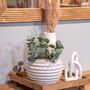 Decorative objects - Nature Love - BOLTZE GRUPPE GMBH