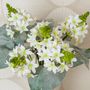 Floral decoration - ORNITHOGALUM ARABICUM - Lou de Castellane - Artificial flowers - LOU DE CASTELLANE