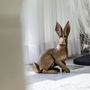 Decorative objects - A sitting rabbit - MOON16