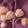 Floral decoration - PHYSALIS PRUINOSA - Lou de Castellane - Artificial plants - LOU DE CASTELLANE