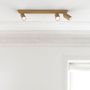 Ceiling lights - FLECK CEILING LIGHT MONOCOLOR - LUMICOM