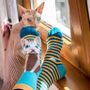 Chaussettes - Chaussettes en coton Arty Chats - PIRIN HILL