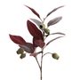 Floral decoration - EUCALYPTUS GLOBOLUS - Lou de Castellane - Artificial plants - LOU DE CASTELLANE