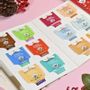 Gifts - Blue Organic Advent Calendar ENGLISH TEA SHOP x25 tea bags - NATURE & EXPRESSION