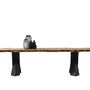 Kitchens furniture - Mappa Burl Live Edge Dining Table - TINELLA WOOD