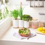 Gifts - Lilo Indoor Vegetable Garden - PRET A POUSSER