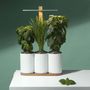 Gifts - Lilo Indoor Vegetable Garden - PRET A POUSSER