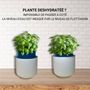 Gifts - My ALDO floating planter - PRET A POUSSER