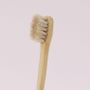 Beauty products - Thin head white horse hair bamboo toothbrush - TAIWAN CRAFTS & DESIGN