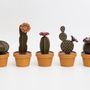 Design objects - CACTACEAE, Leather Cactus Box - TAIWAN CRAFTS & DESIGN