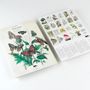 Cadeaux - Livret de coloriage Artistes - THE PEPIN PRESS