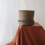 Floral decoration - Plant pot with saucer · SOIL - VAIDAVA CERAMICS