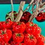 Vases - Vase tomato - WERNER VOSS