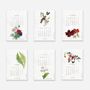 Stationery - 2025 plantable calendar - Biodiversity - PAPIERFLEUR