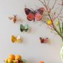 Other wall decoration - Butterflies & Beetles - STUDIO ROOF