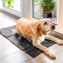 Bespoke carpets - PET ACCESSORIES - FISURA