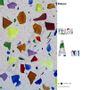 Revêtements sols intérieurs - Palezzo - PALEZZO BY STONELINE