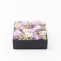 Decorative objects - Preserved Flower Box - Square Size L - BENOIT SAINT AMAND