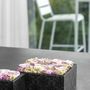 Decorative objects - Preserved Flower Box - Square Size L - BENOIT SAINT AMAND