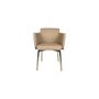 Chaises - Bonola Dining Chair - DAZE