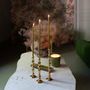 Decorative objects - Large Victoria brass candle holder - MAISON PECHAVY