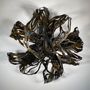 Sculptures, statuettes et miniatures - VOLUTES VEGETALE HYBRIDE / HYBRID PLANT VOLUTES - SEBASTIEN REAL