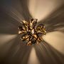 Sculptures, statuettes et miniatures - VOLUTES VEGETALE HYBRIDE / HYBRID PLANT VOLUTES - SEBASTIEN REAL