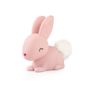 Cadeaux - Lapin - DHINK.EU