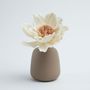 Floral decoration - Aromatic diffuser vase - ANOQ