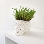 Garden accessories - SKULL PLANT POT - FISURA