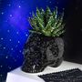 Garden accessories - SKULL PLANT POT - FISURA