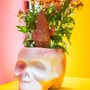 Garden accessories - SKULL PLANT POT - FISURA