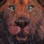 Paintings - LION / ARTWORK / CONTEMPORARY ART / WALL DECORATION - ART NITKA