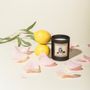 Decorative objects - LES NOCES DE FIGARO - 100% VEGETABLE WAX SCENTED CANDLE - UN SOIR A L'OPERA