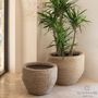 Decorative objects - Basket Java - GOMMAIRE