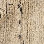 Design carpets - Landscape Rug - Straw, Camel - REZAS RUGS