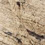 Design carpets - Landscape Rug - Straw, Camel - REZAS RUGS