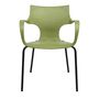 Lawn chairs - ERBI MISKI CHAIR, painted steel frame for indoor and outdoor use - STILFIBRA