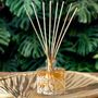 Diffuseurs de parfums - SOUS LES PALMIERS - AMELIE ET MELANIE