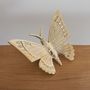 Decorative objects - Brass butterfly - MAHE HOMEWARE