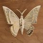 Decorative objects - Brass butterfly - MAHE HOMEWARE