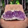 Unique pieces - The XXL Amethyst Druse: Art and Deco Object (unique handmade piece) - LAVENTURINE GALLERY